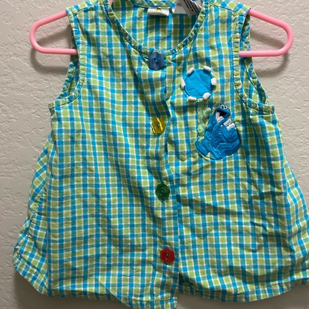 Vintage Cookie Monster top